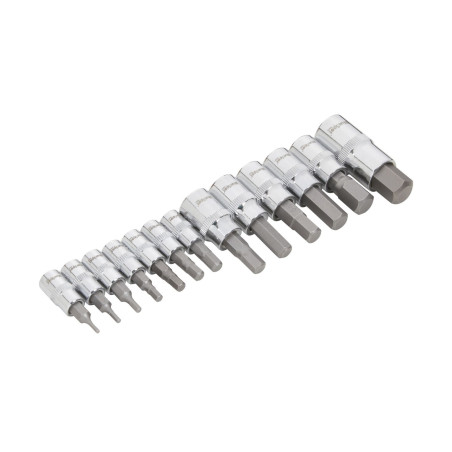Blue Spot Tools 13pc 1/4", 3/8" & 1/2" Hex Bit Set (H2–H14) | Chrome Vanadium Bit Kit - 01492